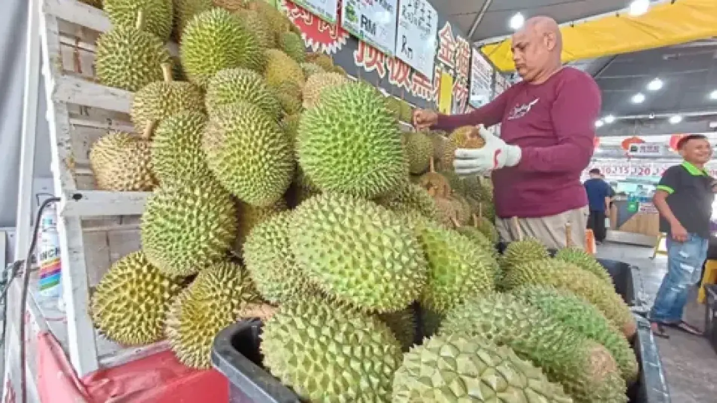 Malaysia’s Musang King may reign supreme but a new wave of durian contenders is emerging