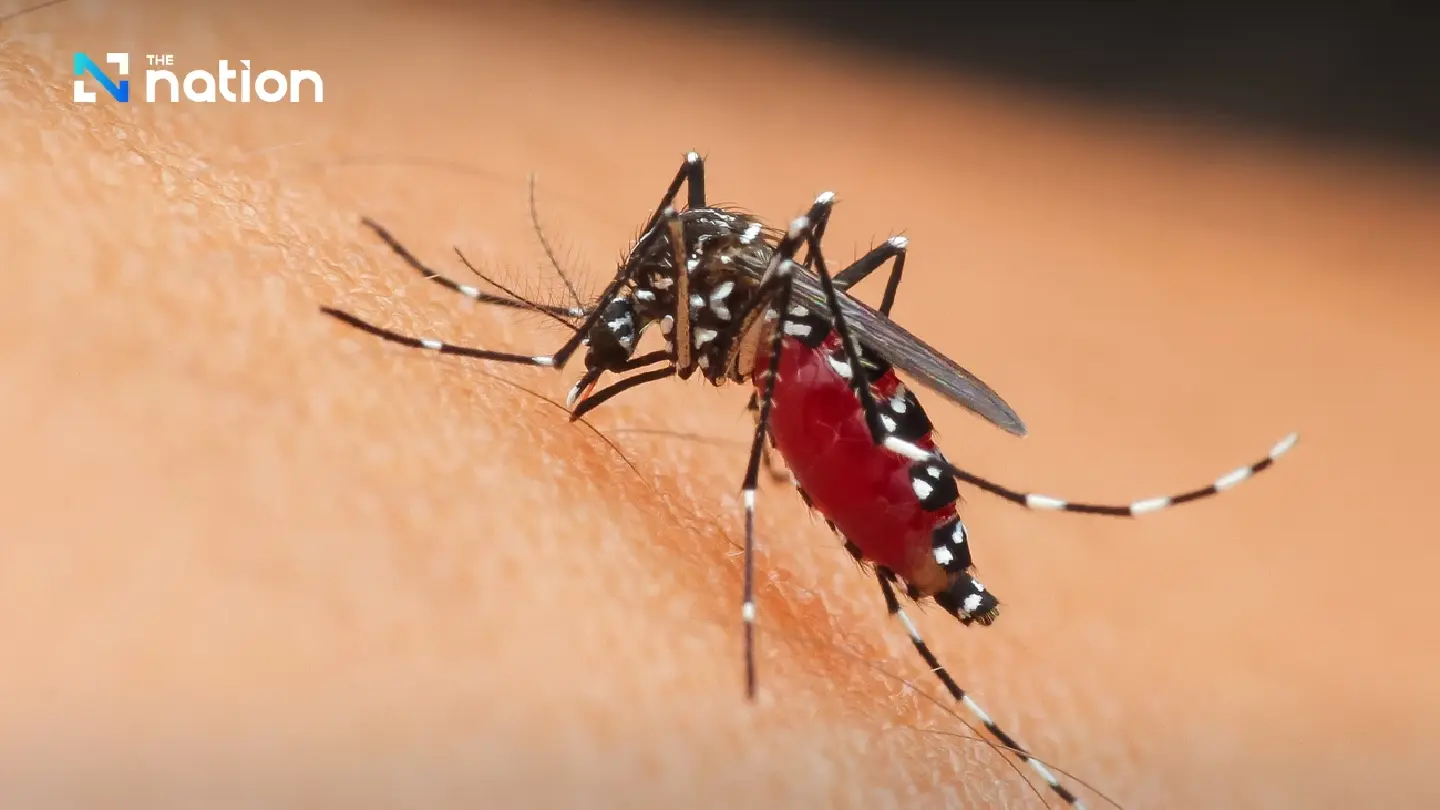 Bangkok urges action as dengue cases surge past 12,000 nationwide