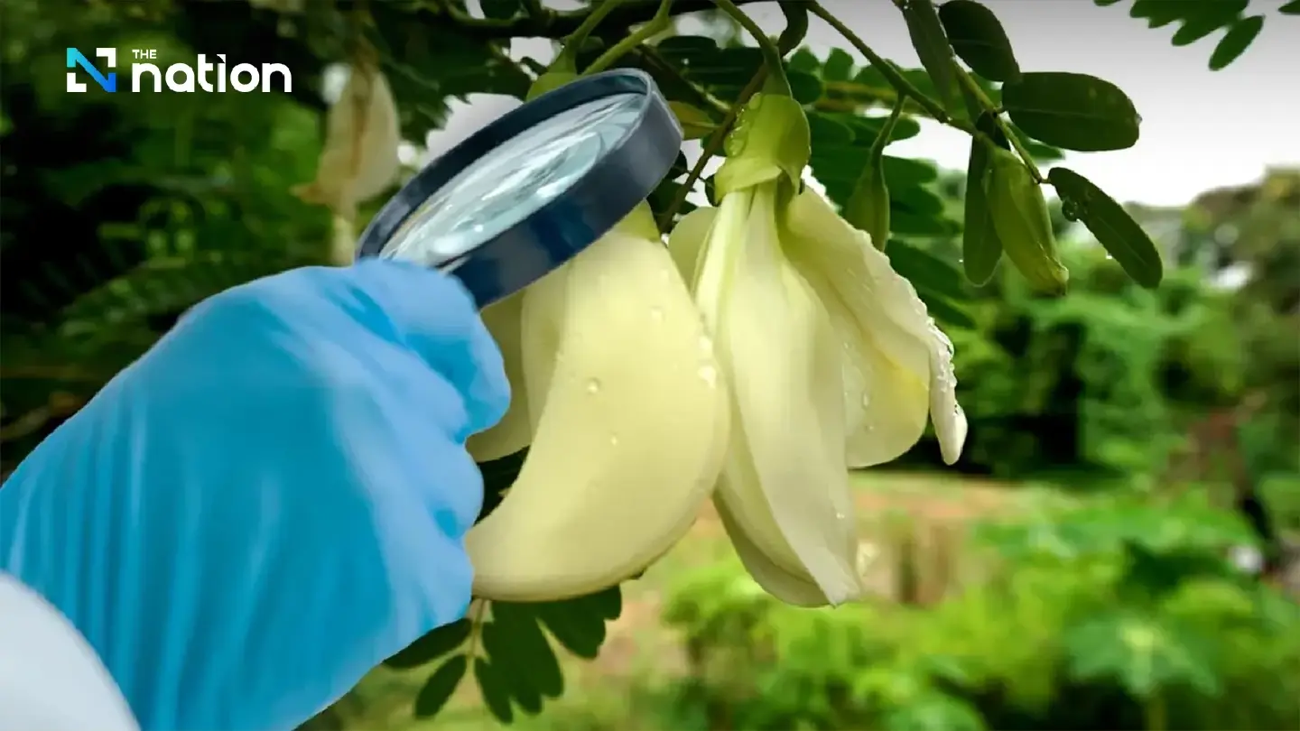 More than half of edible flowers contaminated with pesticides, two studies find More than half of edible flowers contaminated with pesticides, two studies find