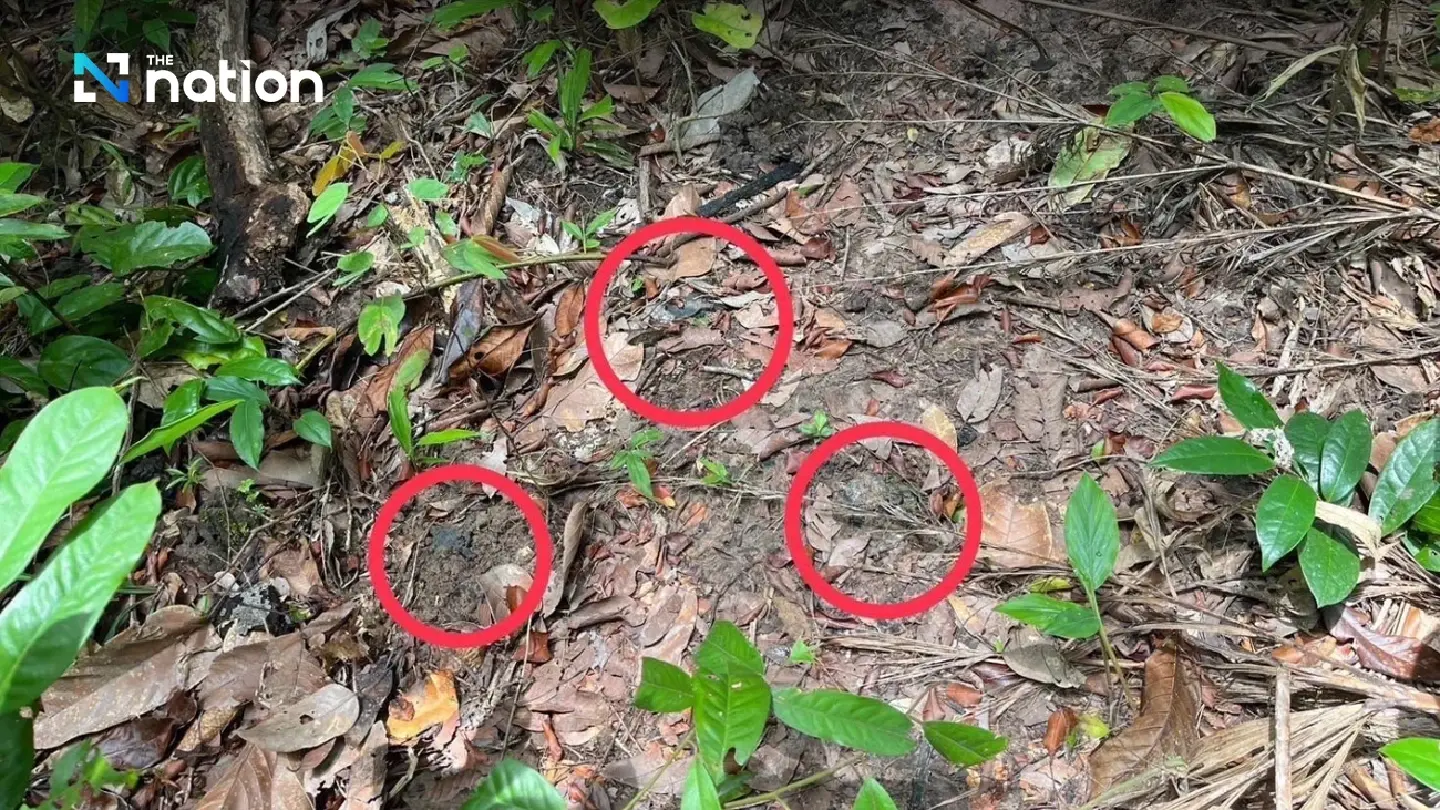 Cambodia denies laying landmines, asserts Hun Sen–Hun Manet stand for peace Cambodia denies laying landmines, asserts Hun Sen–Hun Manet stand for peace