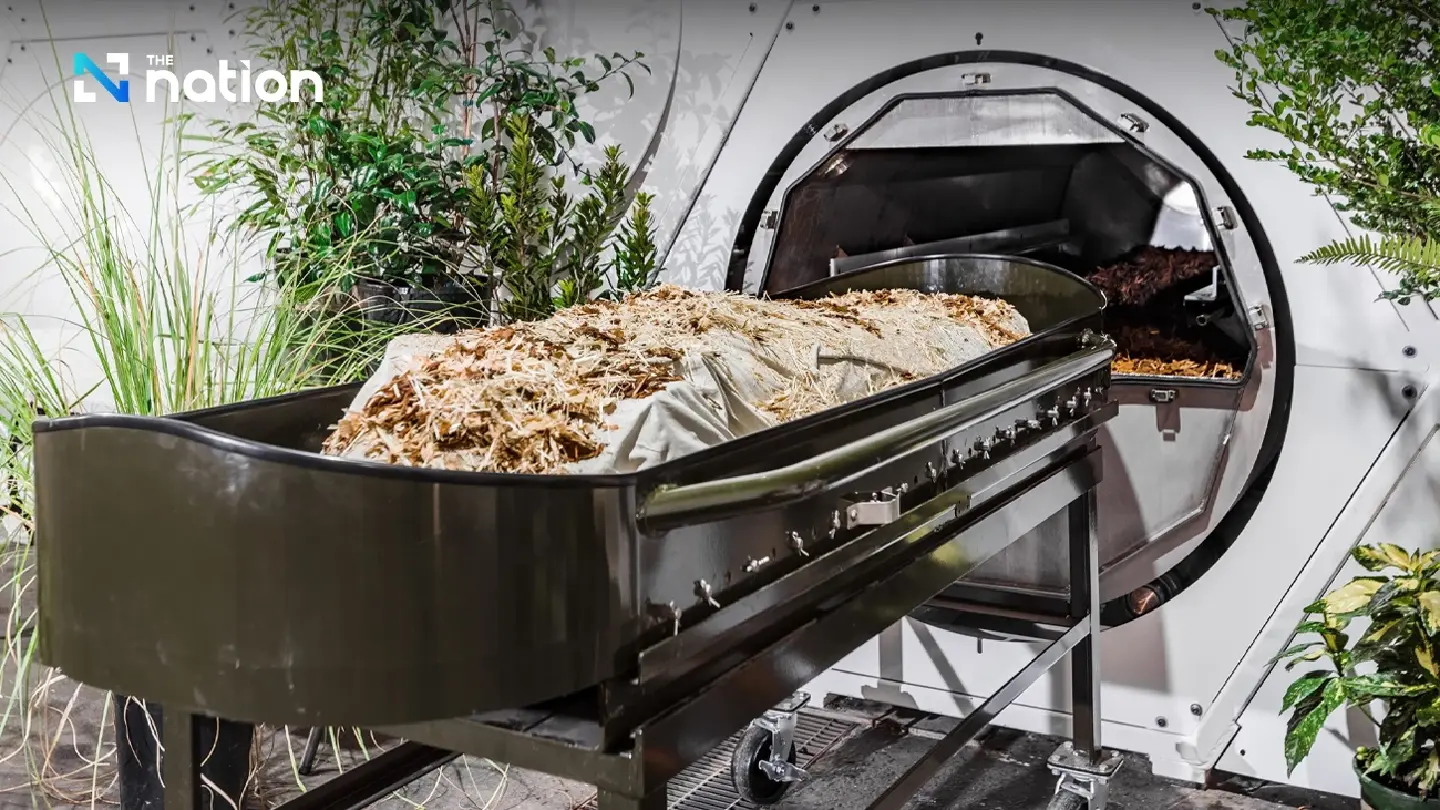 New funeral ritual turns human remains into tree fertiliser, returning life to nature New funeral ritual turns human remains into tree fertiliser, returning life to nature