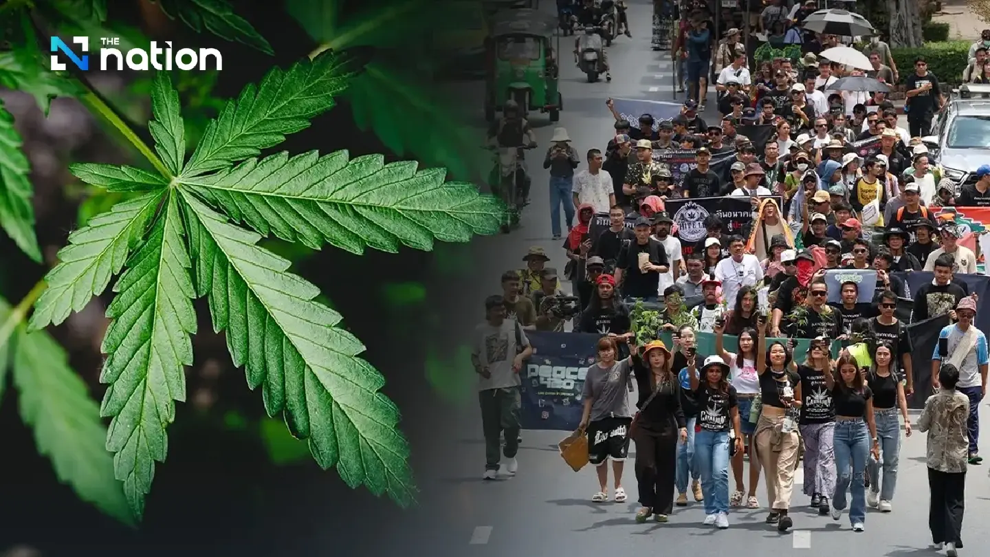 Health Minister unfazed by cannabis protest, vows crackdown on illegal sales
