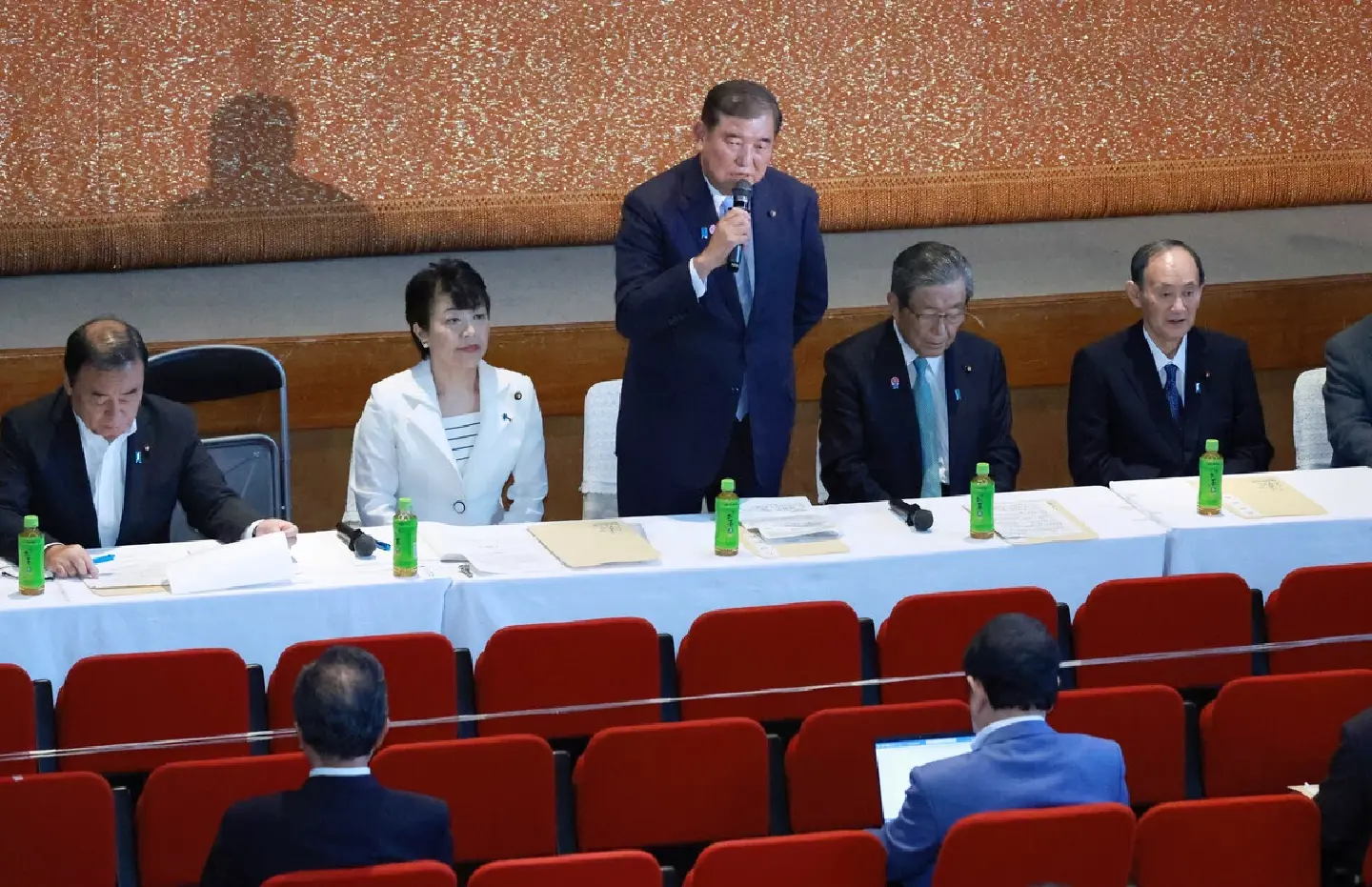 LDP panel to decide on leadership election