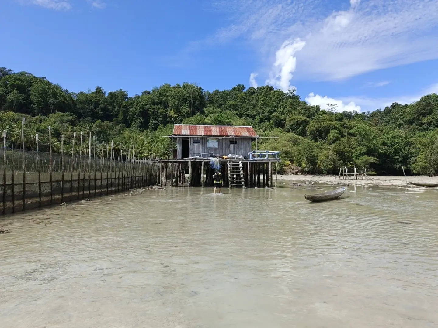 Revitalizing seaweed cultivation to boost the economy of Papua’s coastal communities