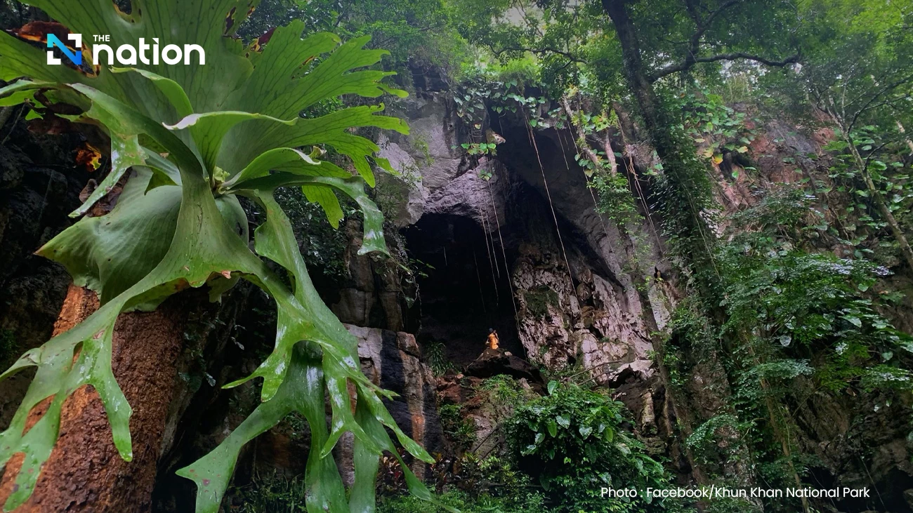 Khun Khan National Park temporarily closes Tham Luang Mae Sab cave for ecological restoration