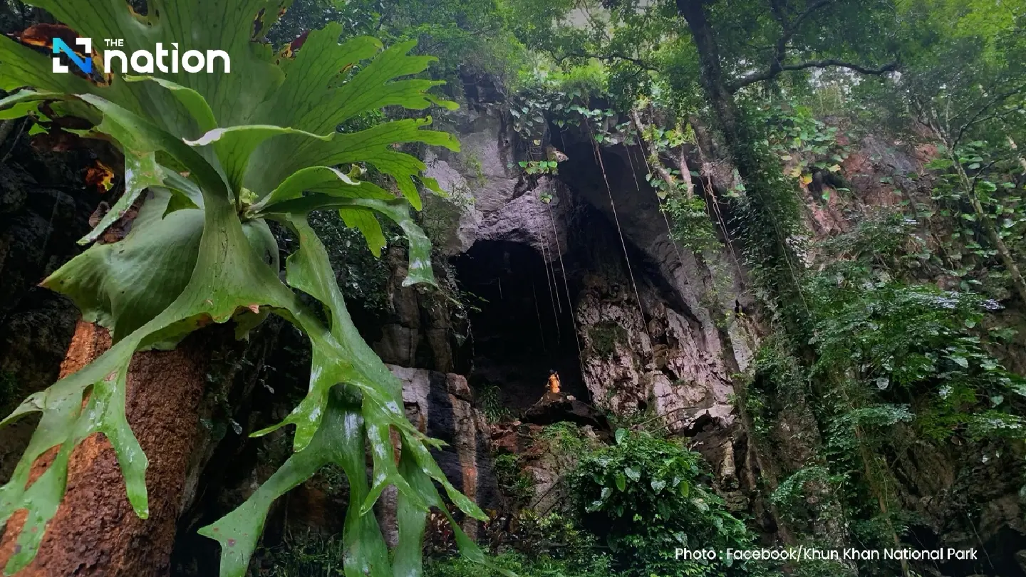 Khun Khan National Park temporarily closes Tham Luang Mae Sab cave for ecological restoration Khun Khan National Park temporarily closes Tham Luang Mae Sab cave for ecological restoration