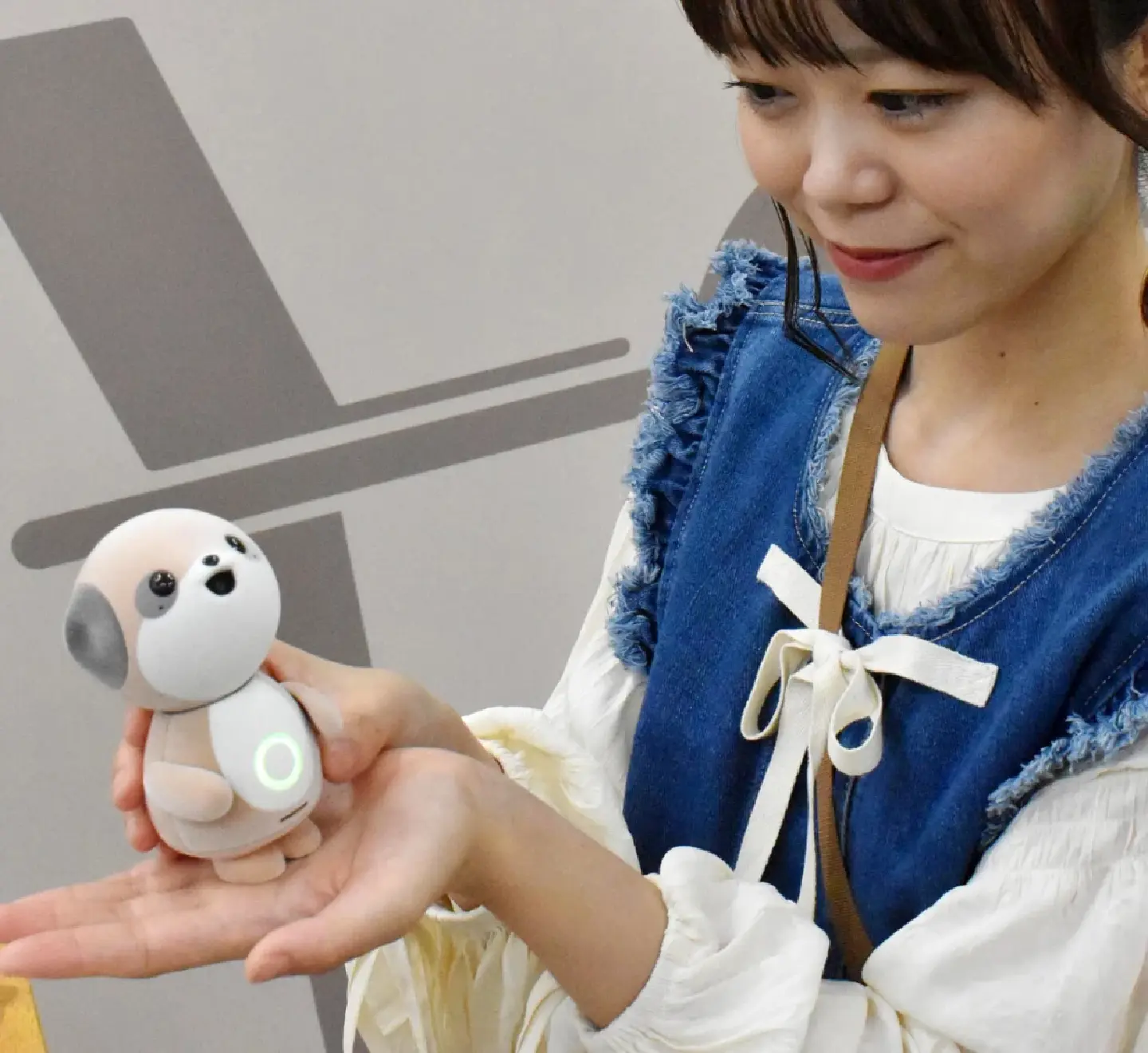 Sharp develops "Poketomo" conversational AI robot