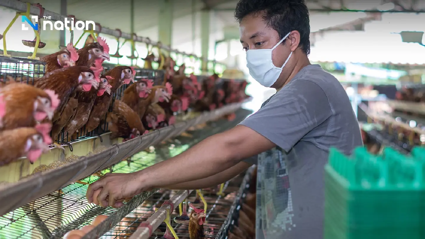 Govt steps up surveillance against H5N1 bird flu after outbreak in Cambodia Govt steps up surveillance against H5N1 bird flu after outbreak in Cambodia