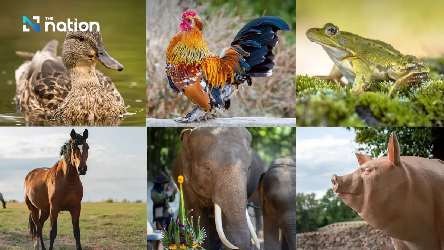Animal sounds Thai vs. English