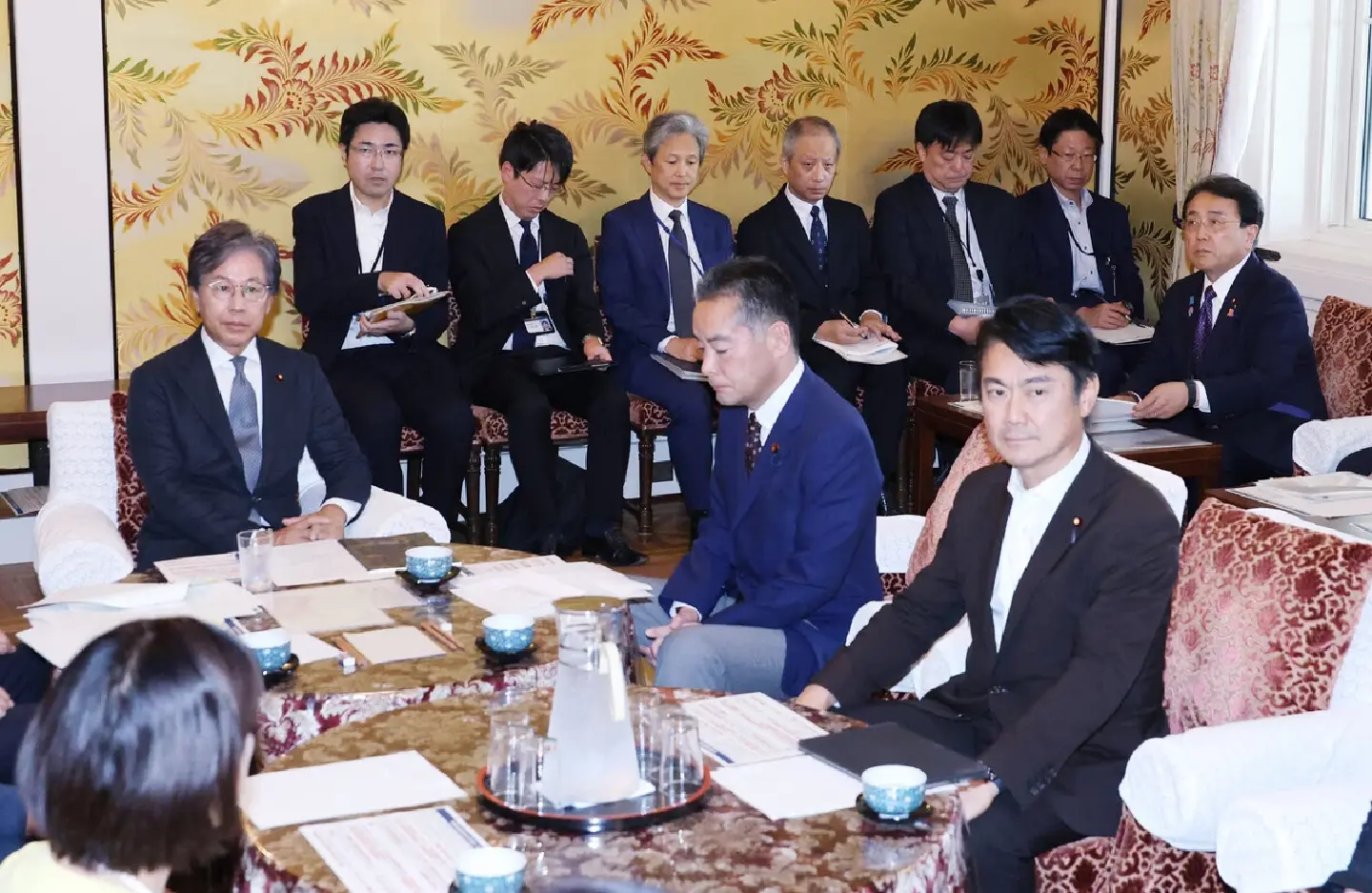 Ruling, opposition parties voice concerns over US tariffs