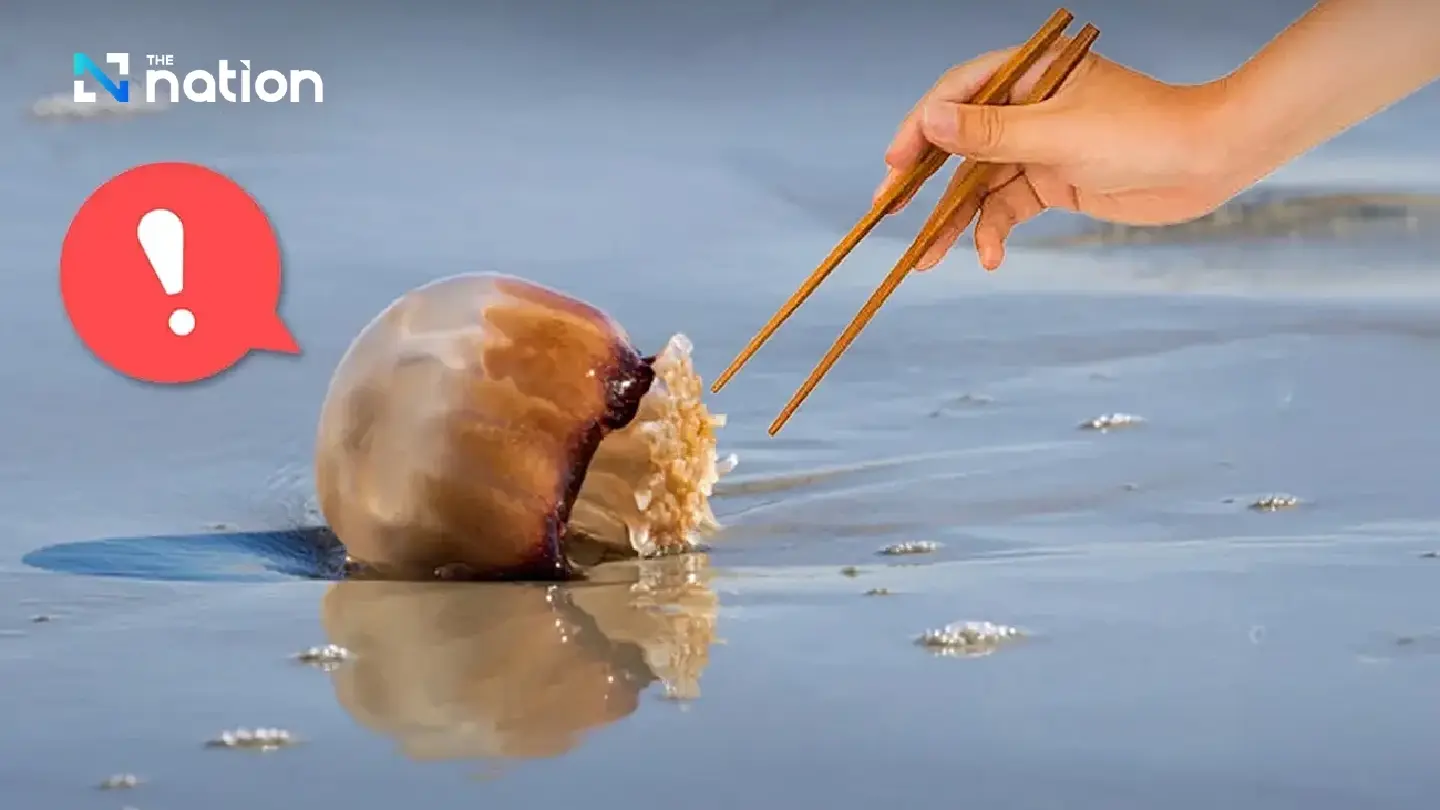 Public Health Officials Warn of Allergic Reactions to Jellyfish Delicacy