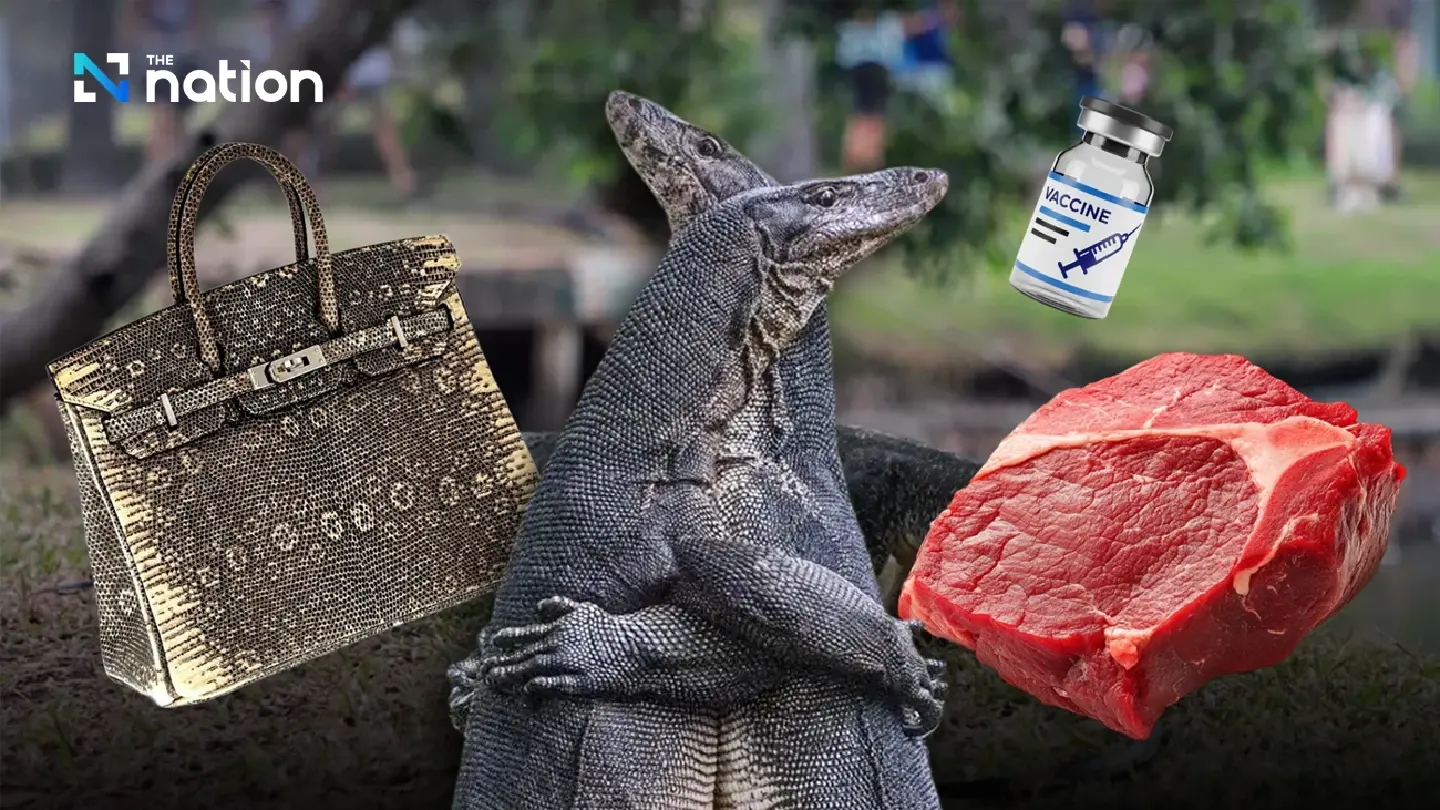 Thailand's Monitor Lizards Tipped as Next Big 'Economic Animal' in Luxury Leather