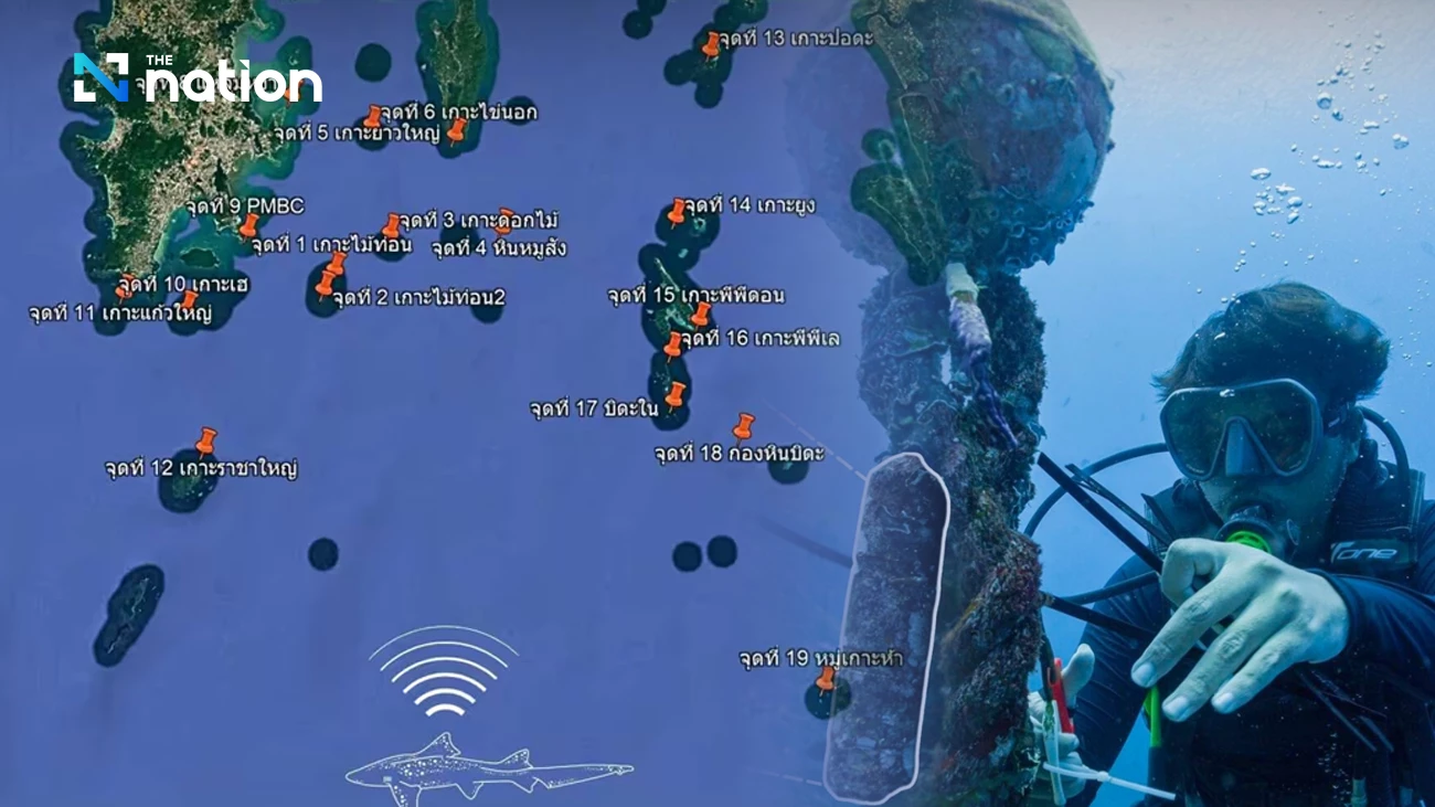 Department urges divers to avoid 20 acoustic receivers in Phang Nga Bay
