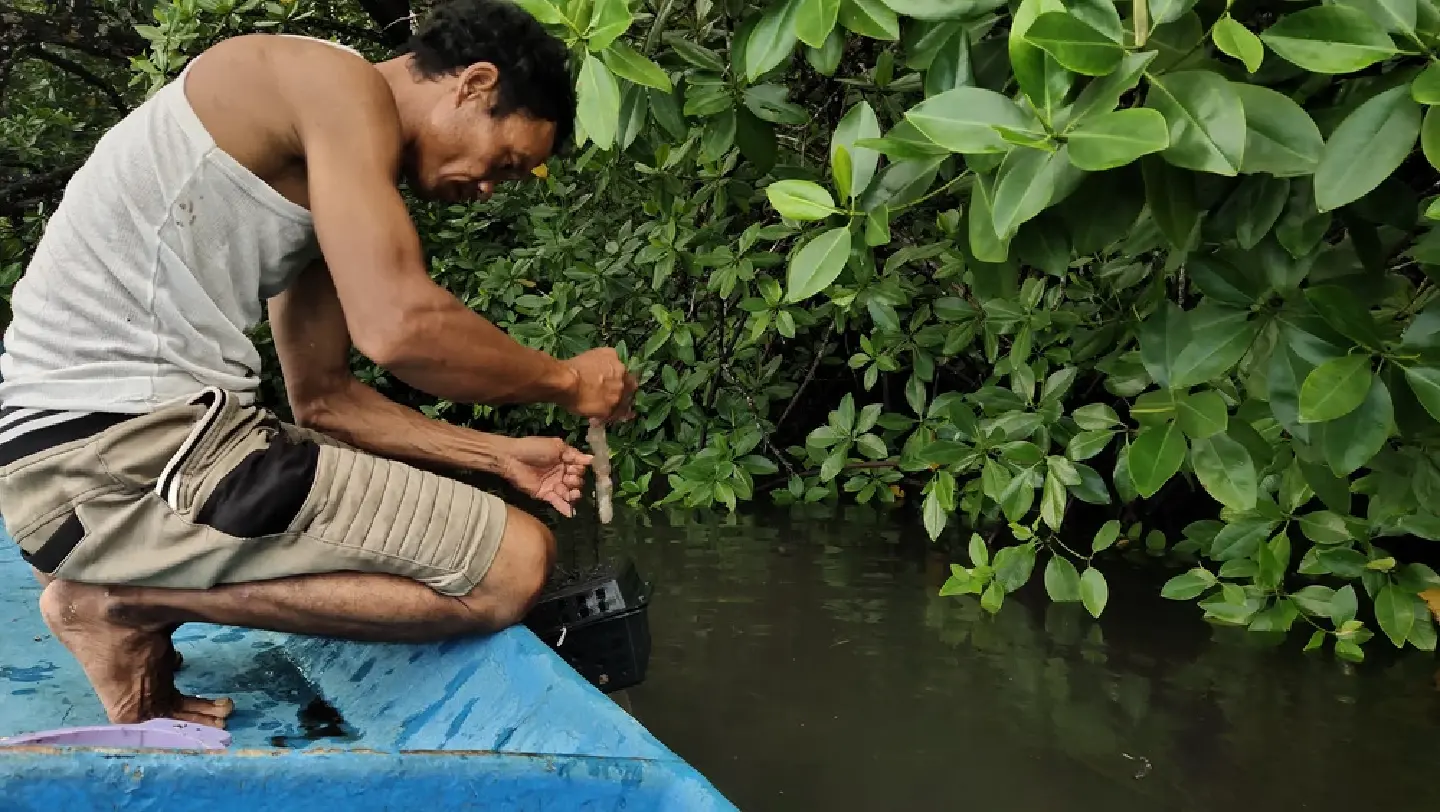 Building a sustainable marine ecosystem as the foundation of Papua's local economy
