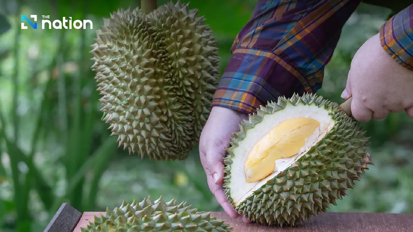 Vietnam enforces fresh durian export safety controls, opening market opportunities for Thai agribusiness