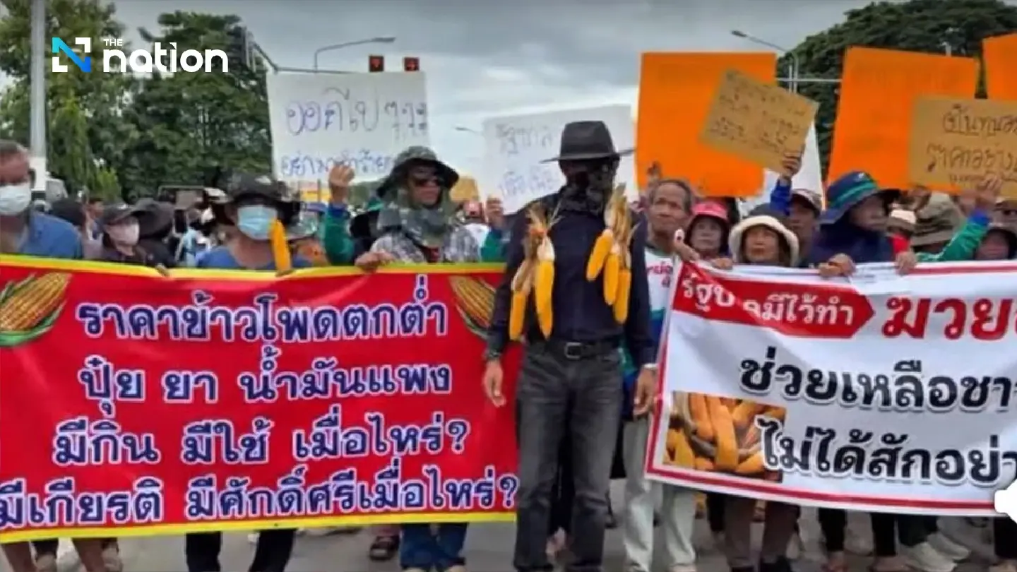 Phetchabun corn farmers rally to demand compensation over US corn imports