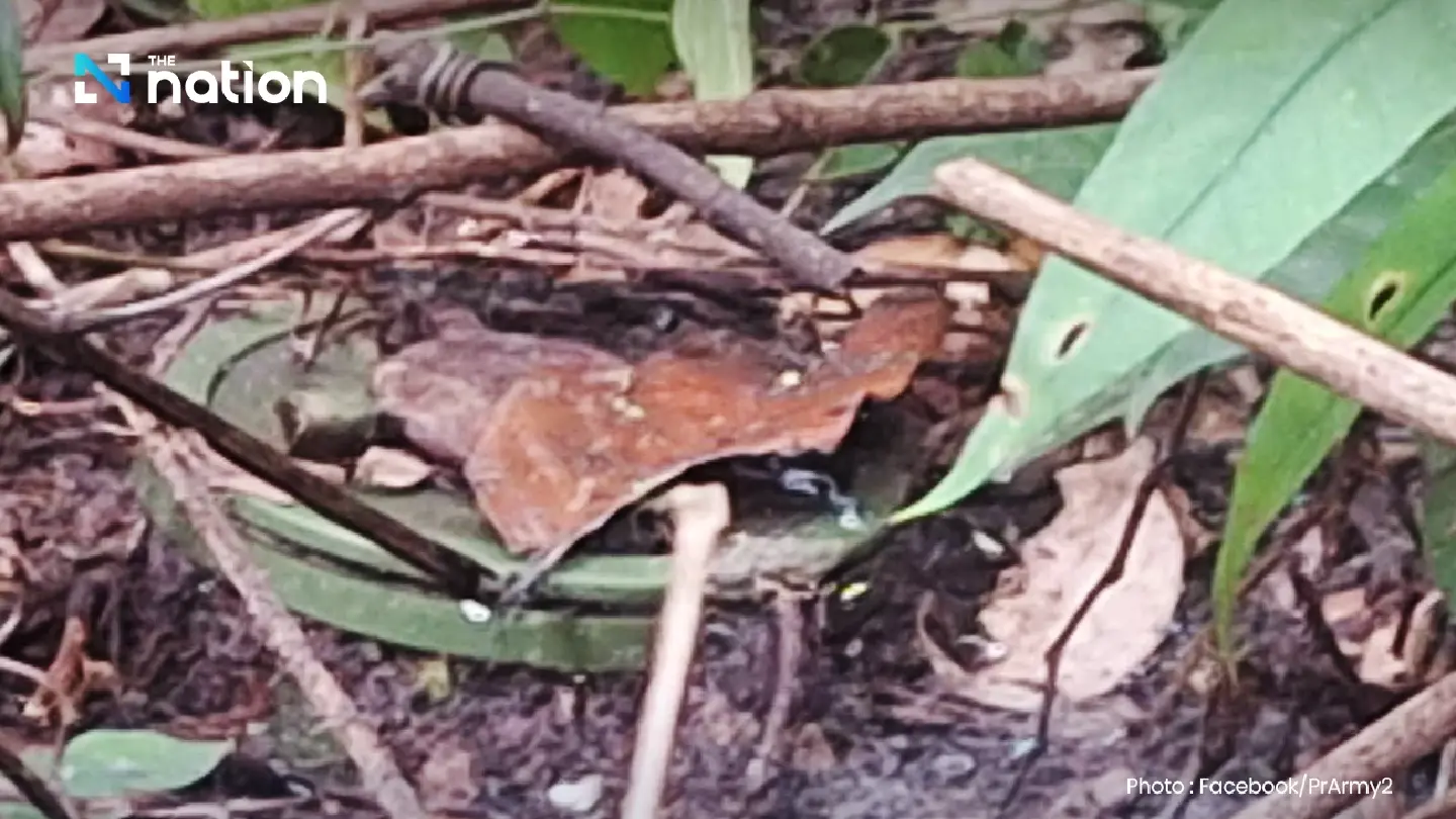 Second Army detects Cambodian BHQ unit, landmine inside Thai territory Second Army detects Cambodian BHQ unit, landmine inside Thai territory