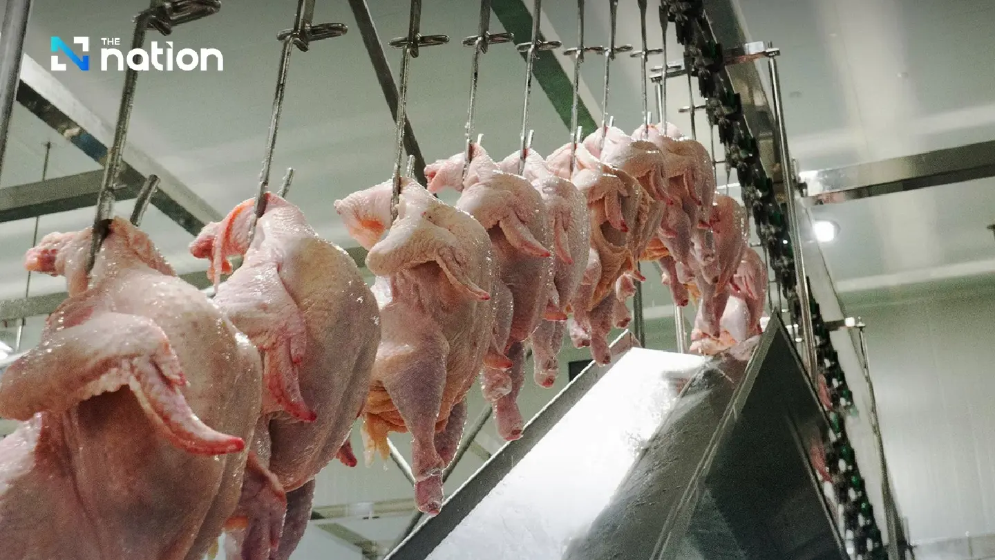 Saudi extends Thai poultry export deadline by 6 months Saudi extends Thai poultry export deadline by 6 months