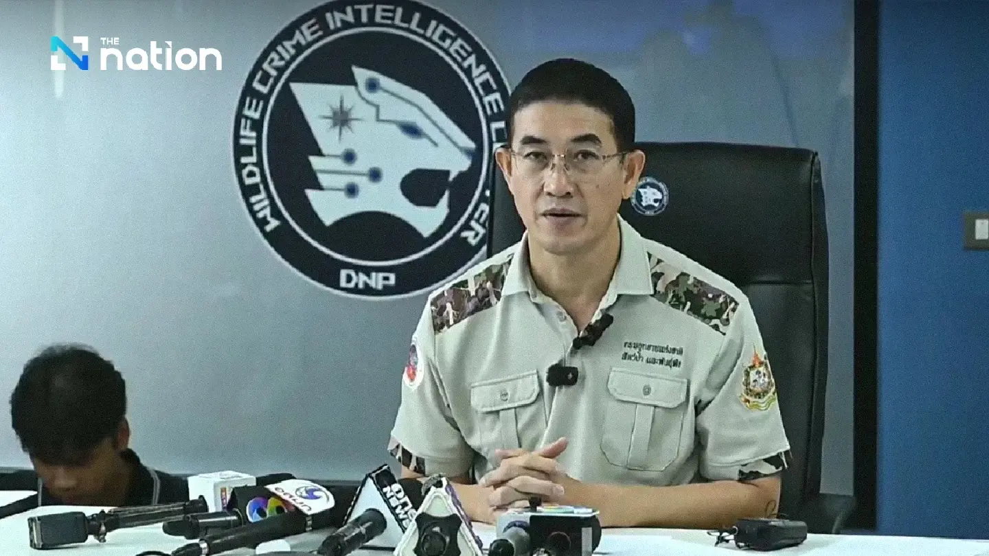 DNP to confine 5 lions that killed zookeeper at Safari World for behavioural adjustment