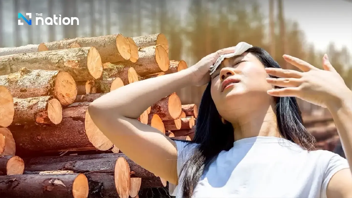 Study finds ASEAN at highest risk as deforestation linked to 28,000 heat-related deaths globally