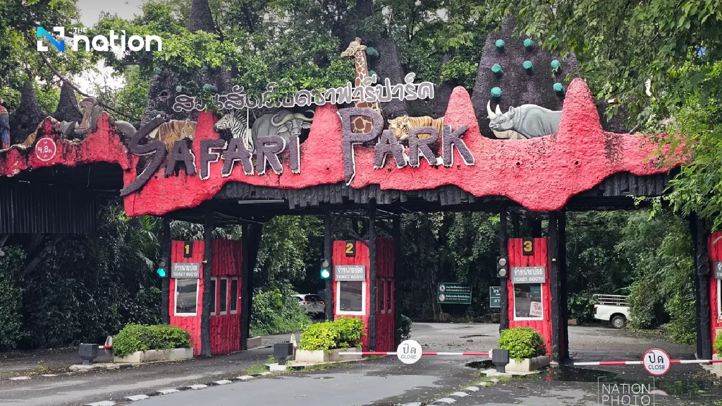 Safari zone in Bangkok temporarily closed after lion attack kills staff member