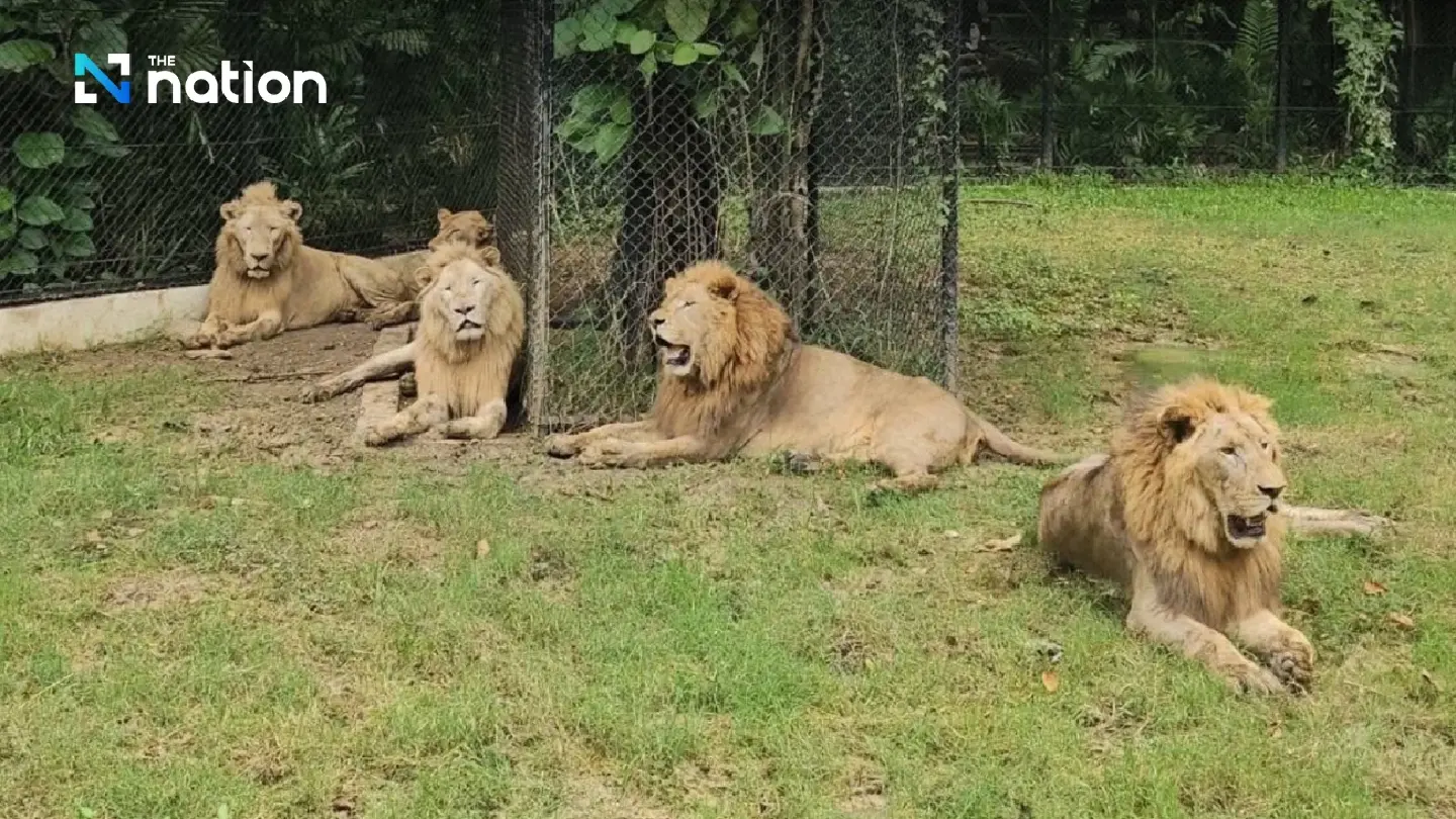 Autopsy finds zookeeper’s neck broken, windpipe torn by lion attack