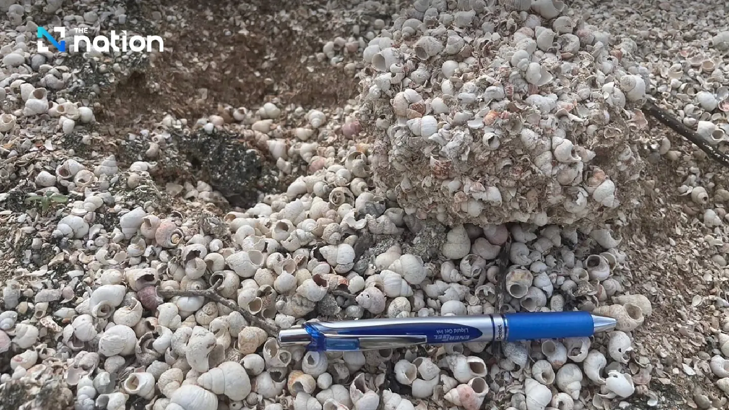 Mae Moh mine freshwater snail fossils registered as Thailand’s 27th palaeontological site