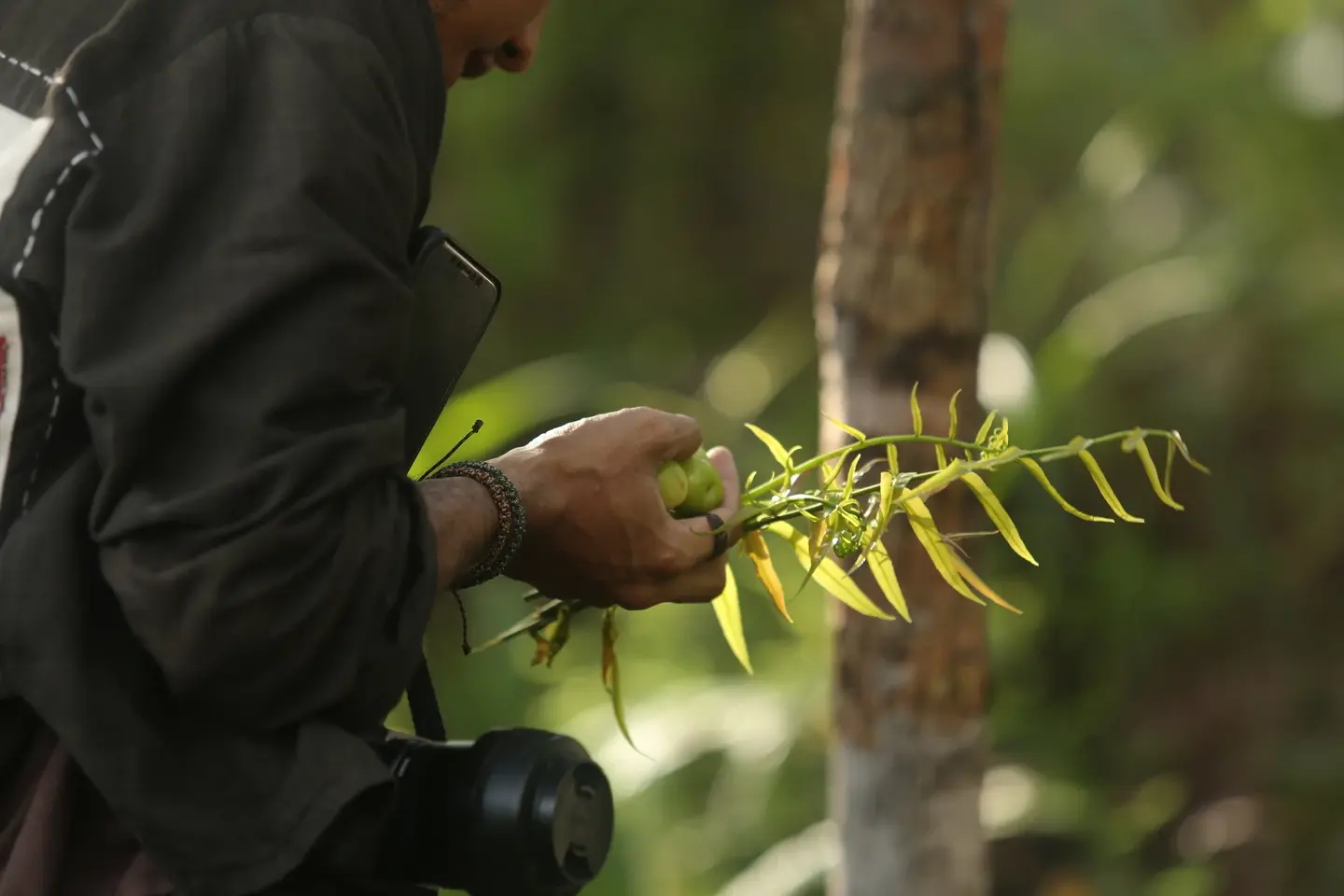 Strengthening food security through local wisdom