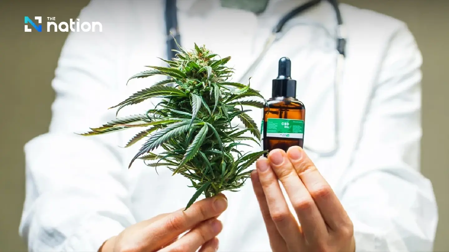 Thai Health Ministry Tightens Medical Cannabis Rules