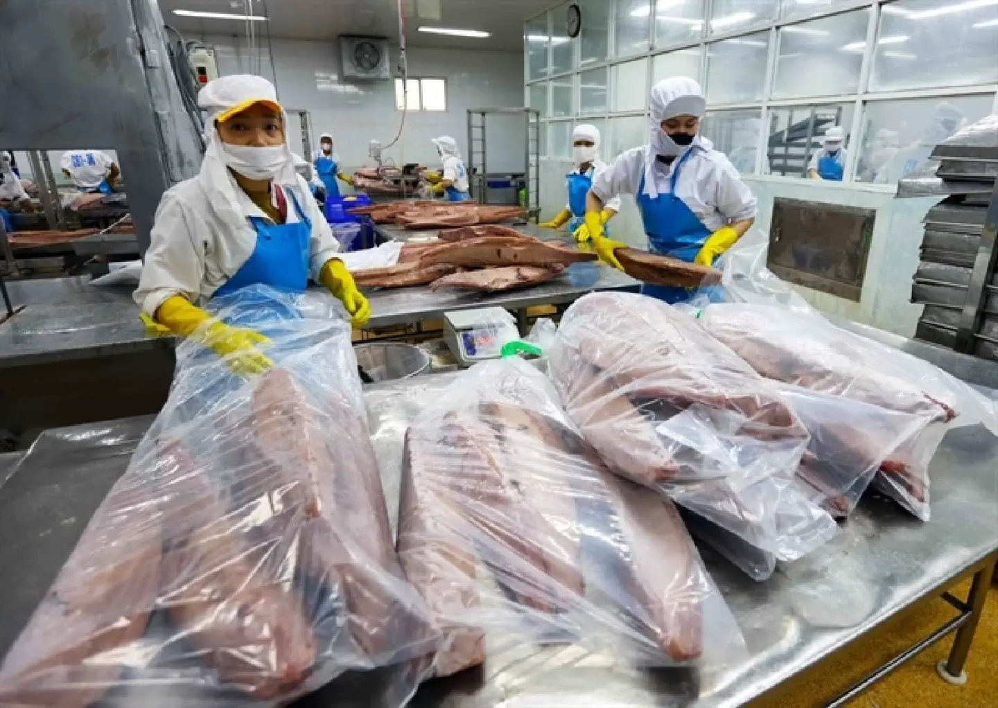 US’s import ban rocks Vietnam’s seafood industry US’s import ban rocks Vietnam’s seafood industry