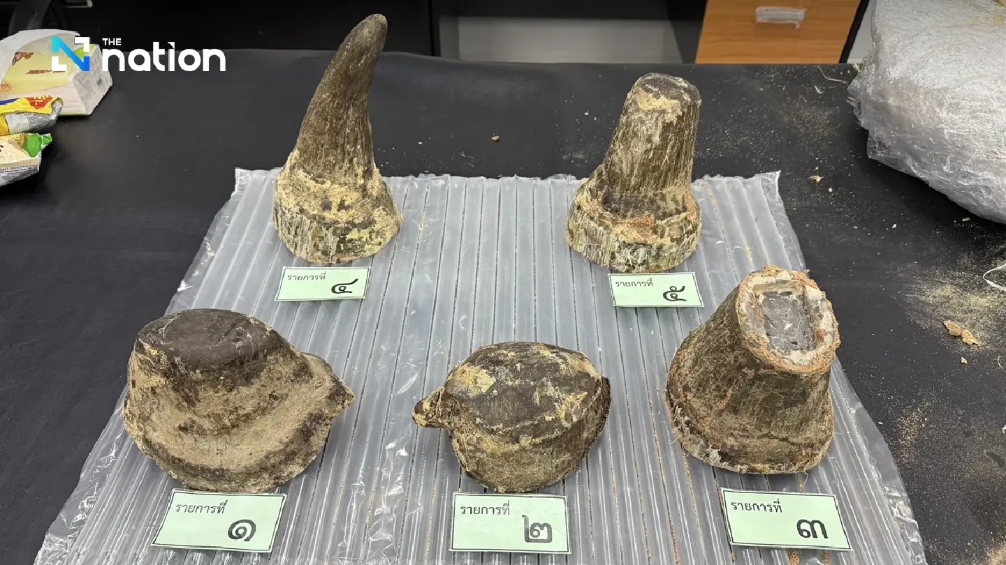Thai Customs Seize Rhino Horns at Bangkok Airport