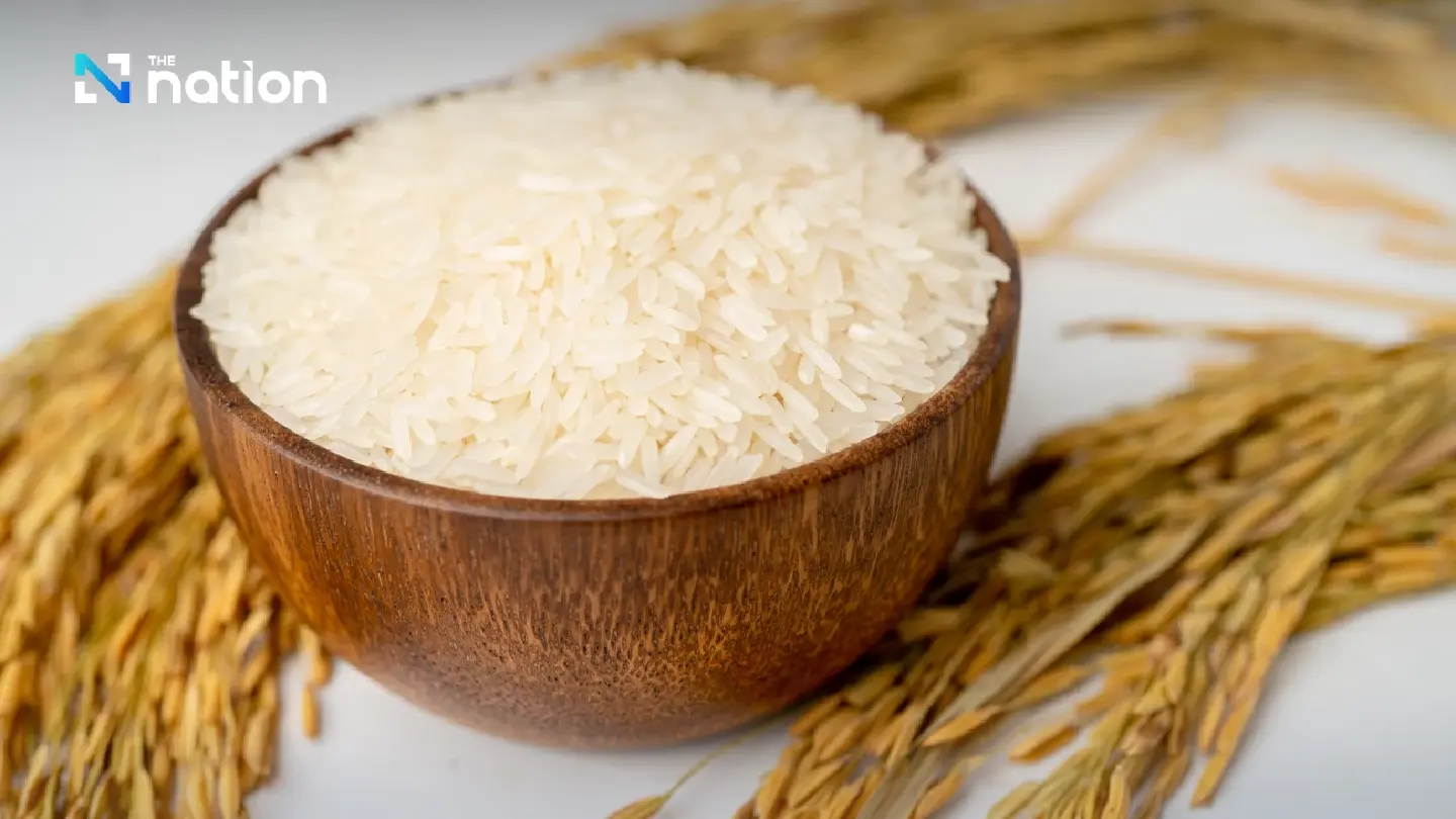 Thai rice exports slump 23.9% in first eight months on strong baht, global glut