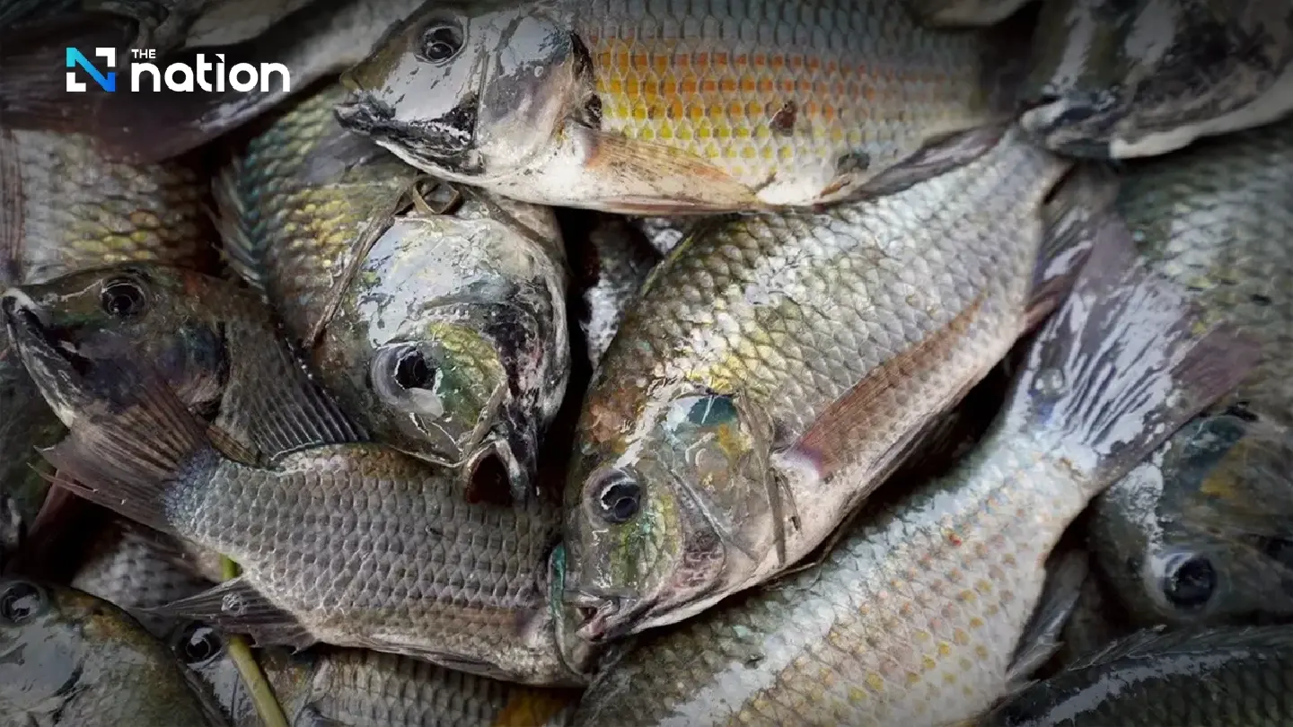 CPF defends integrity in court over false blackchin tilapia allegations