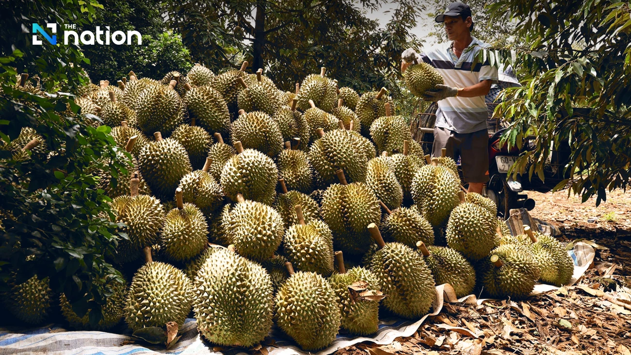 Vietnam’s fruit and vegetable exports hit record high as durian drives growth