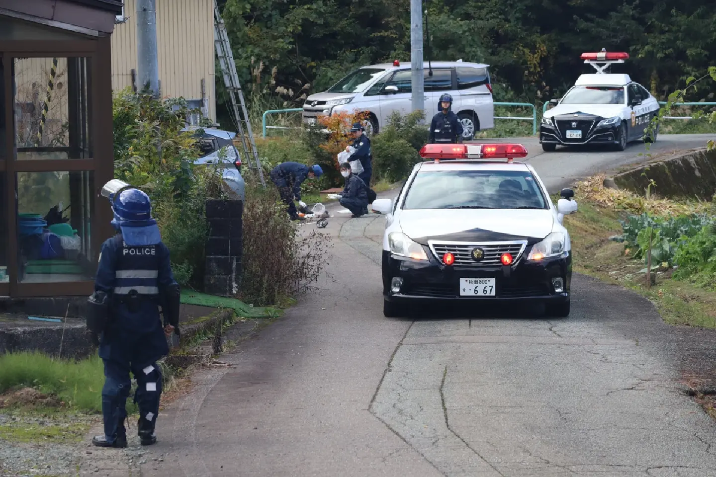 Man Killed in Bear Attack in Northeastern Japan Man Killed in Bear Attack in Northeastern Japan