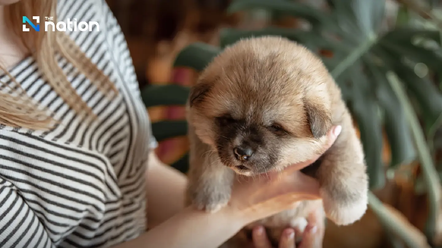 PetGeneX teams up with NIA to launch Thailand’s first pet stem cell bank