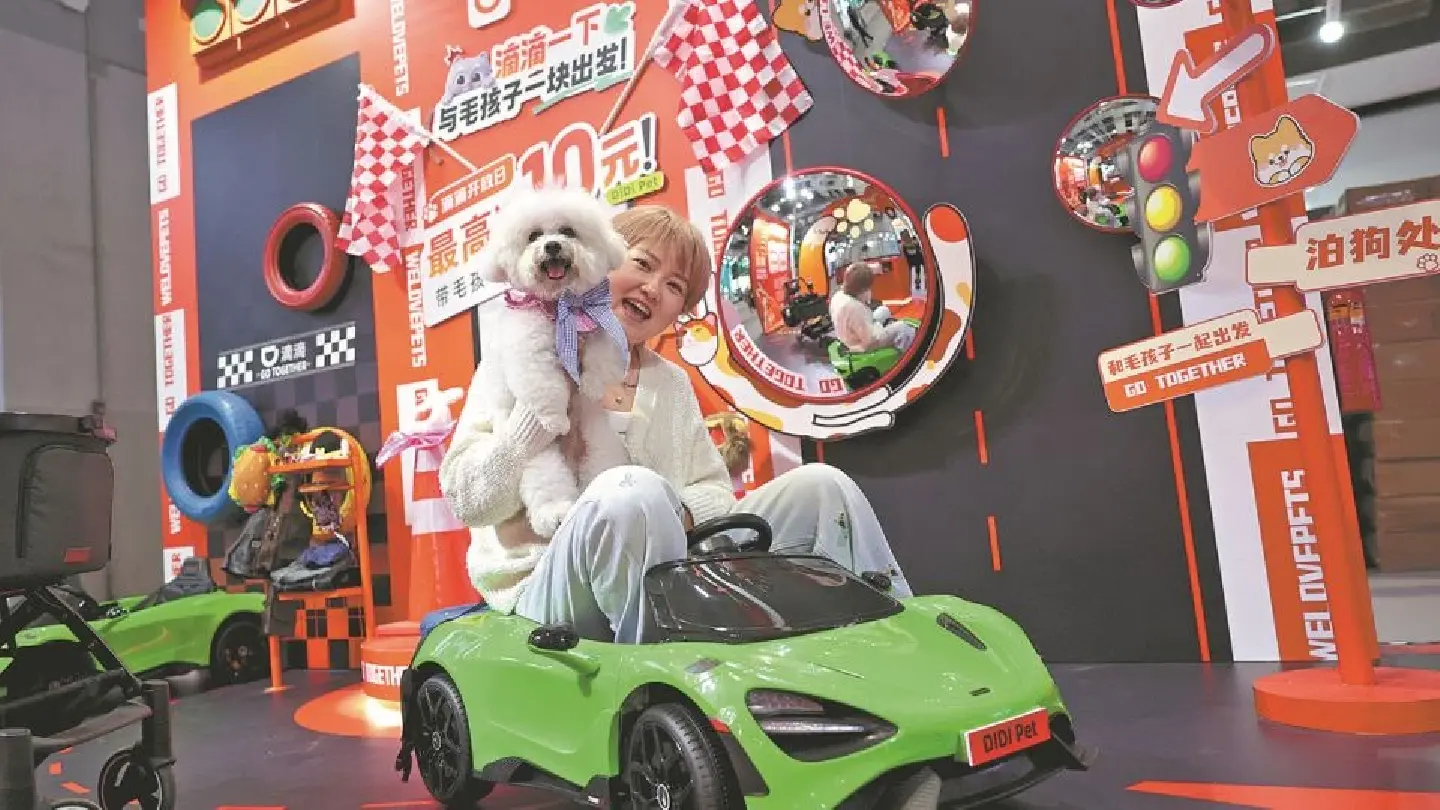 Furry paws driving China’s growing pet economy