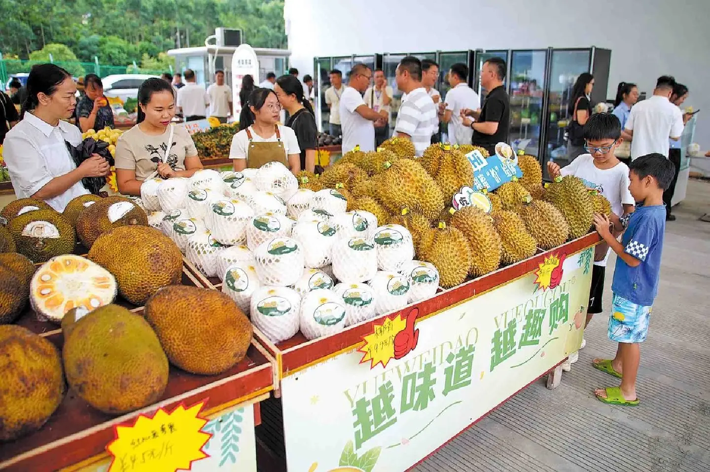 Closer China-ASEAN trade ties bring sweet benefits to fruit dealers