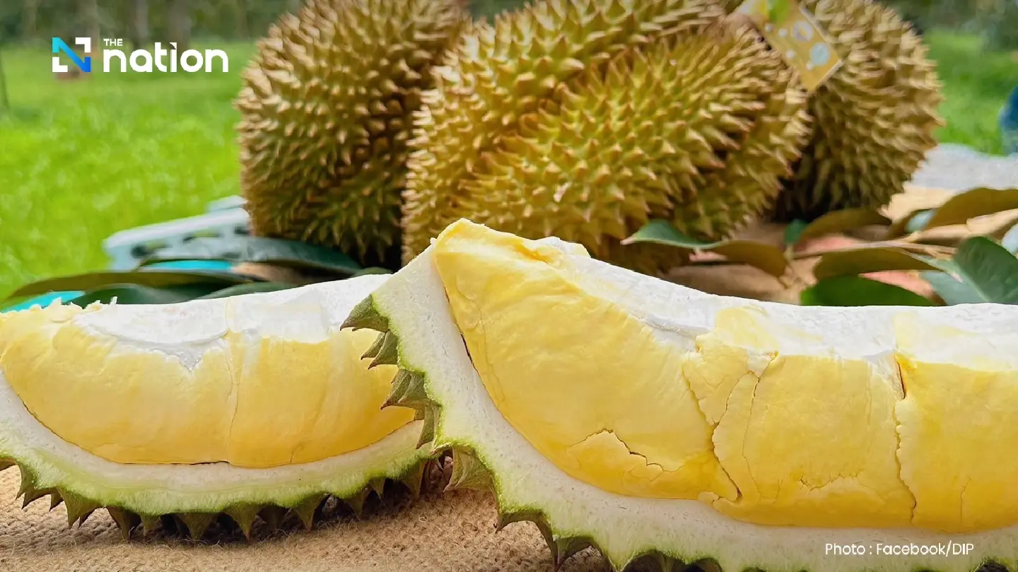 Durian Gold Rush: Thailand's Top Export Rakes in Over 10 Billion Baht
