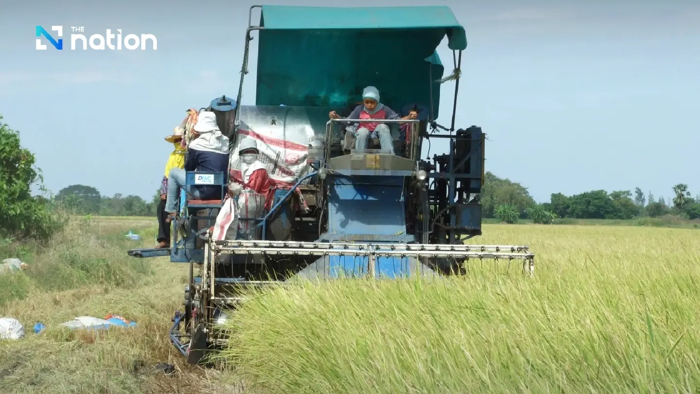 Rice Department to discuss measures to prevent fall in paddy prices for new harvest