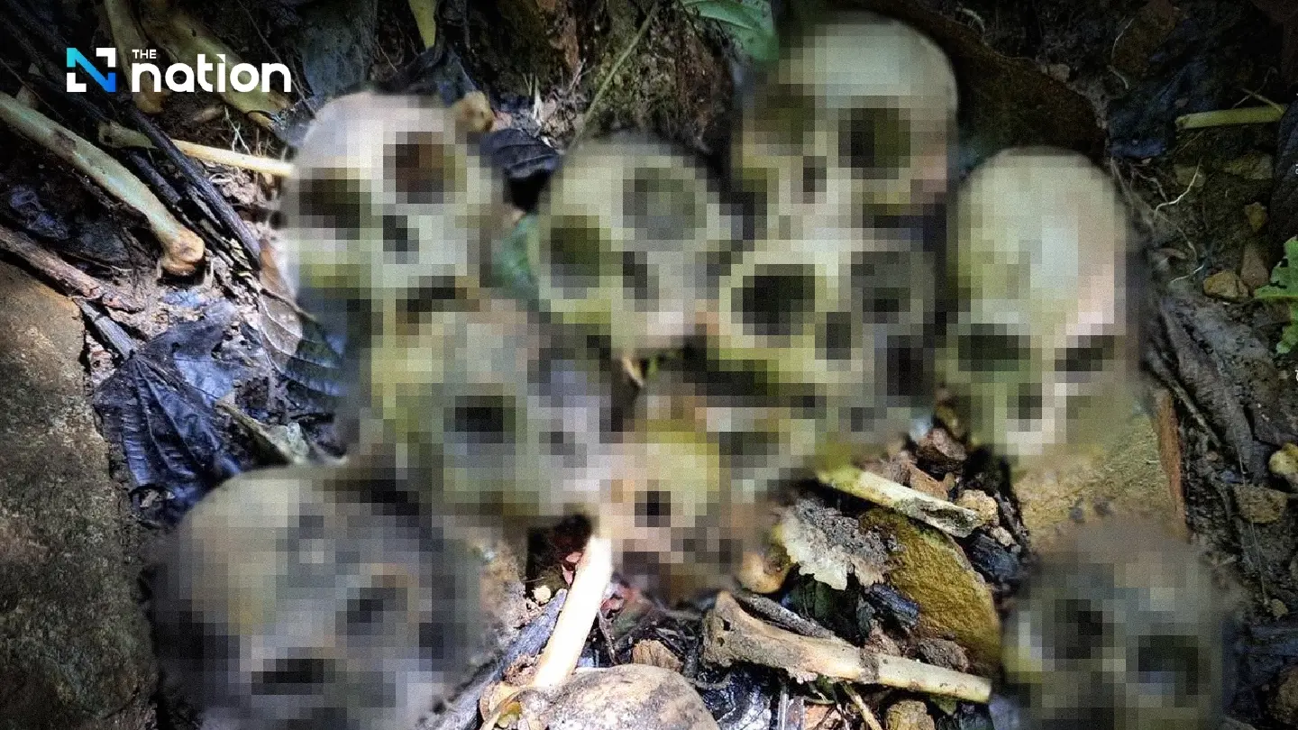 Deputy PM Suchart orders stricter patrols after leaf monkey skulls found in Kaeng Krachan National Park