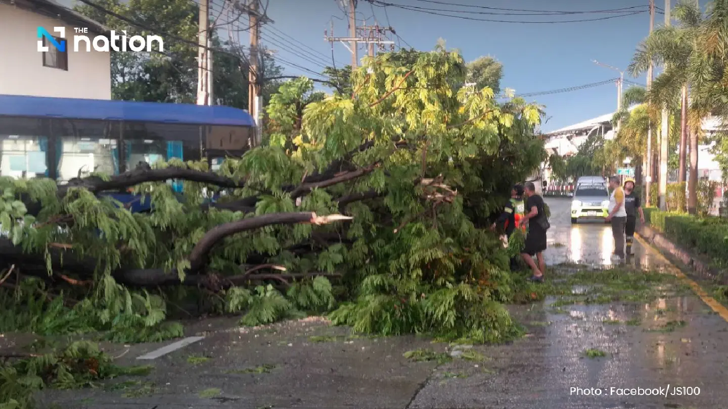 Heavy rain and strong winds cause flooding and fallen trees across Bangkok, disrupting traffic