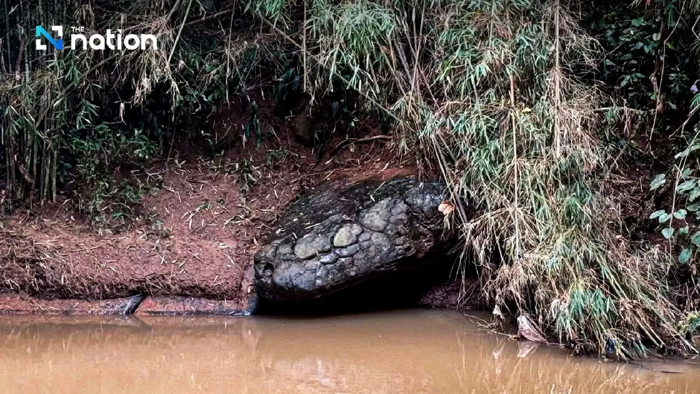 Site of ‘giant snake’ sun-crack closed for 15 days next month