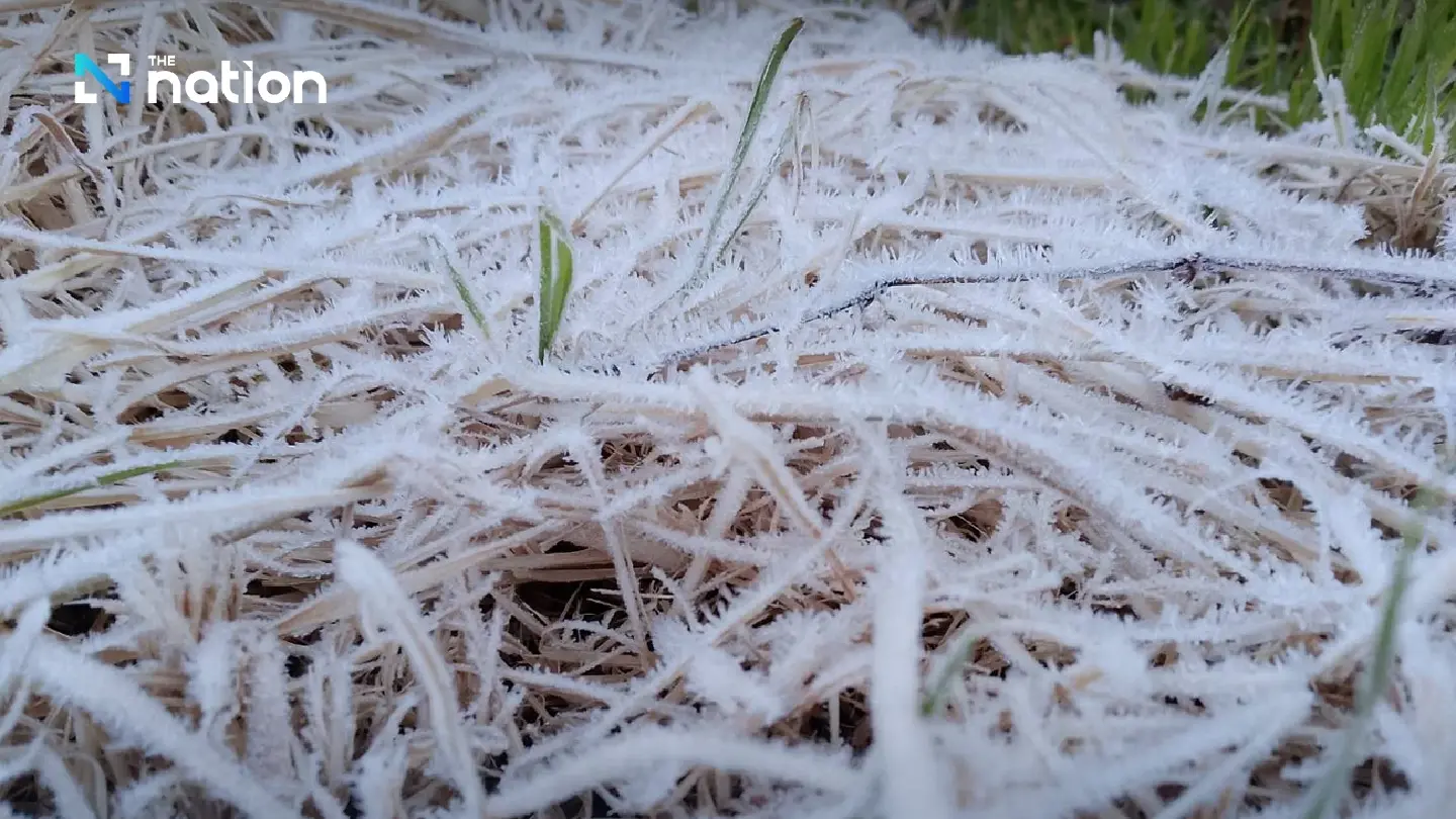 Tourists treated to hoar frost on Doi Inthanon as mercury plunges to 2°C