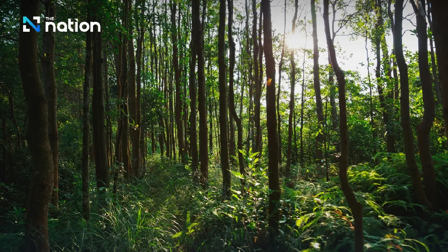 Asia-Pacific forest chiefs unite on 'Healthy Forests' initiative
