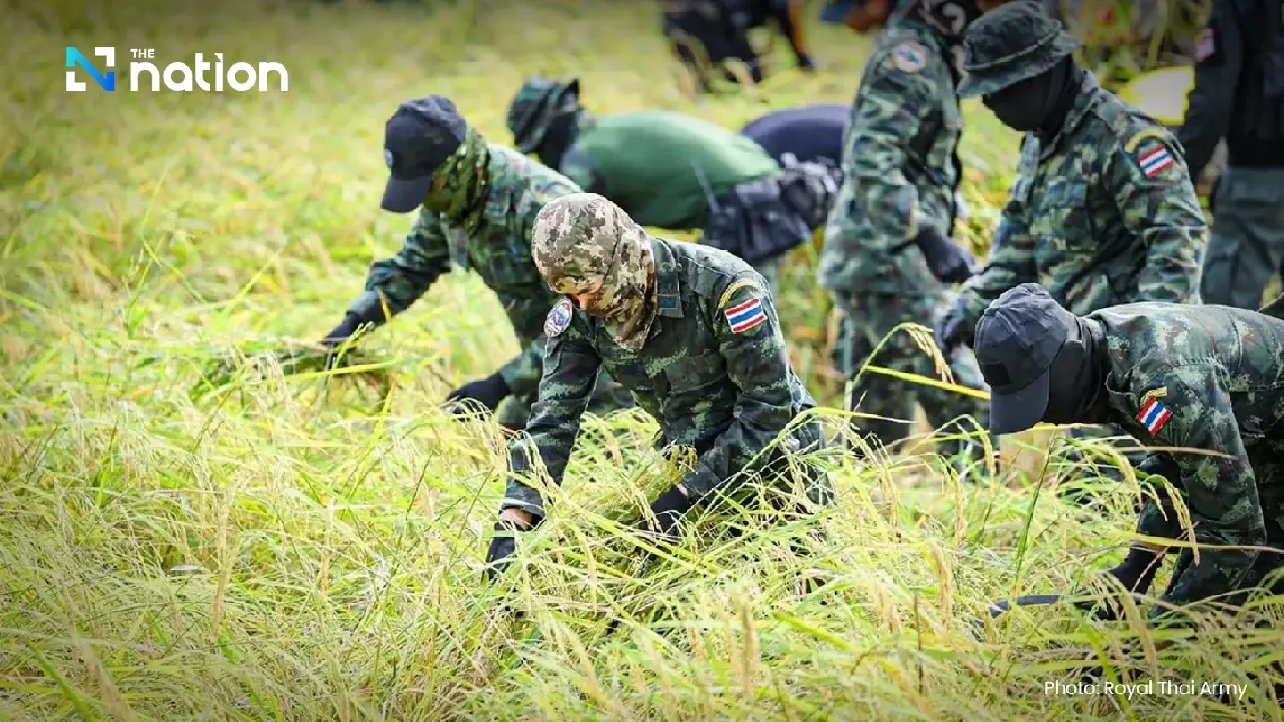 Army troops harvest rice to help border farmers, affirming Thai sovereignty