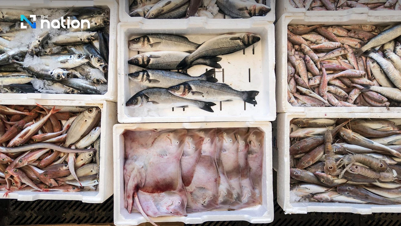 Thailand among 89 countries approved under US fishing rules