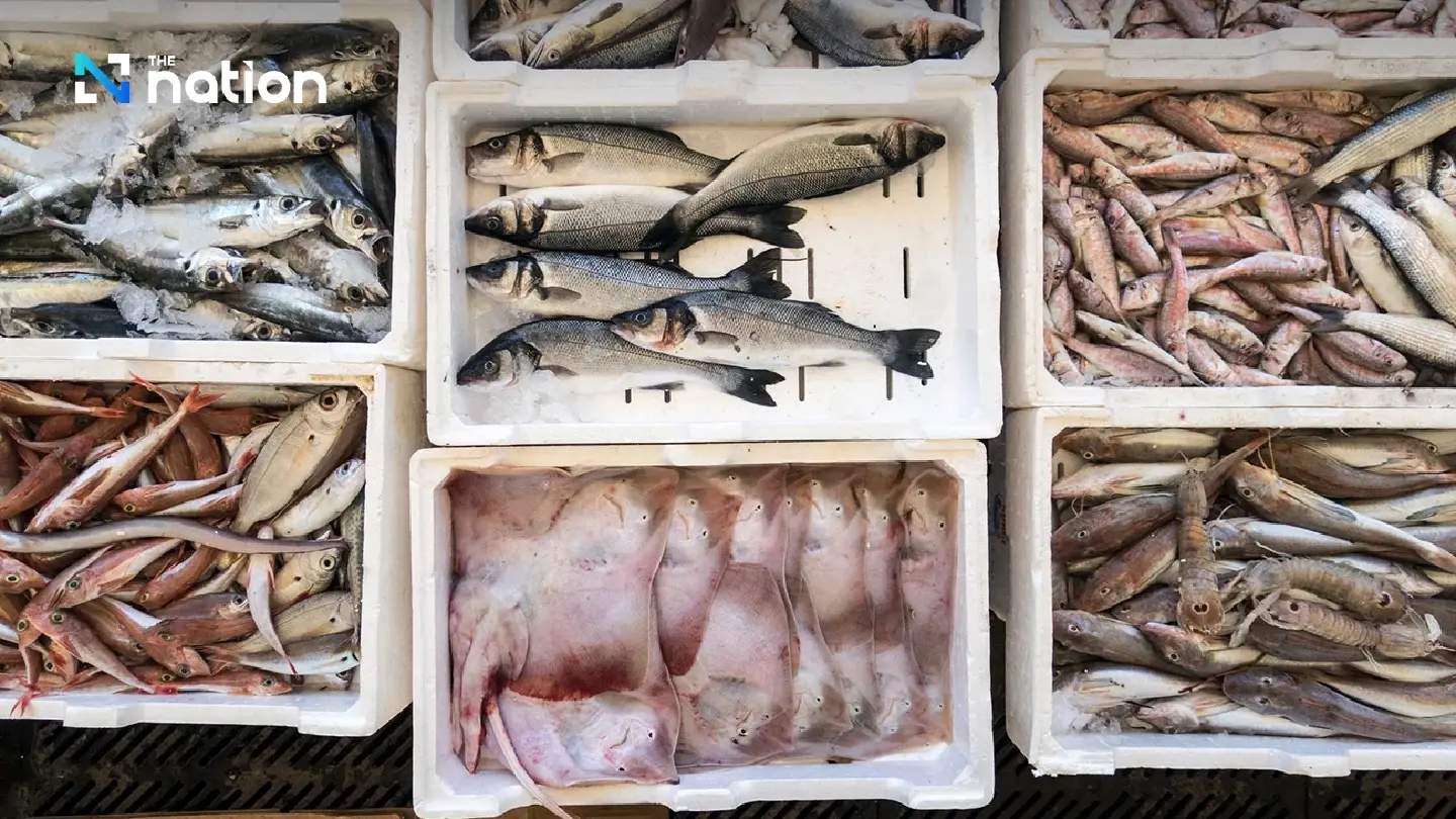 Thailand among 89 countries approved under US fishing rules Thailand among 89 countries approved under US fishing rules