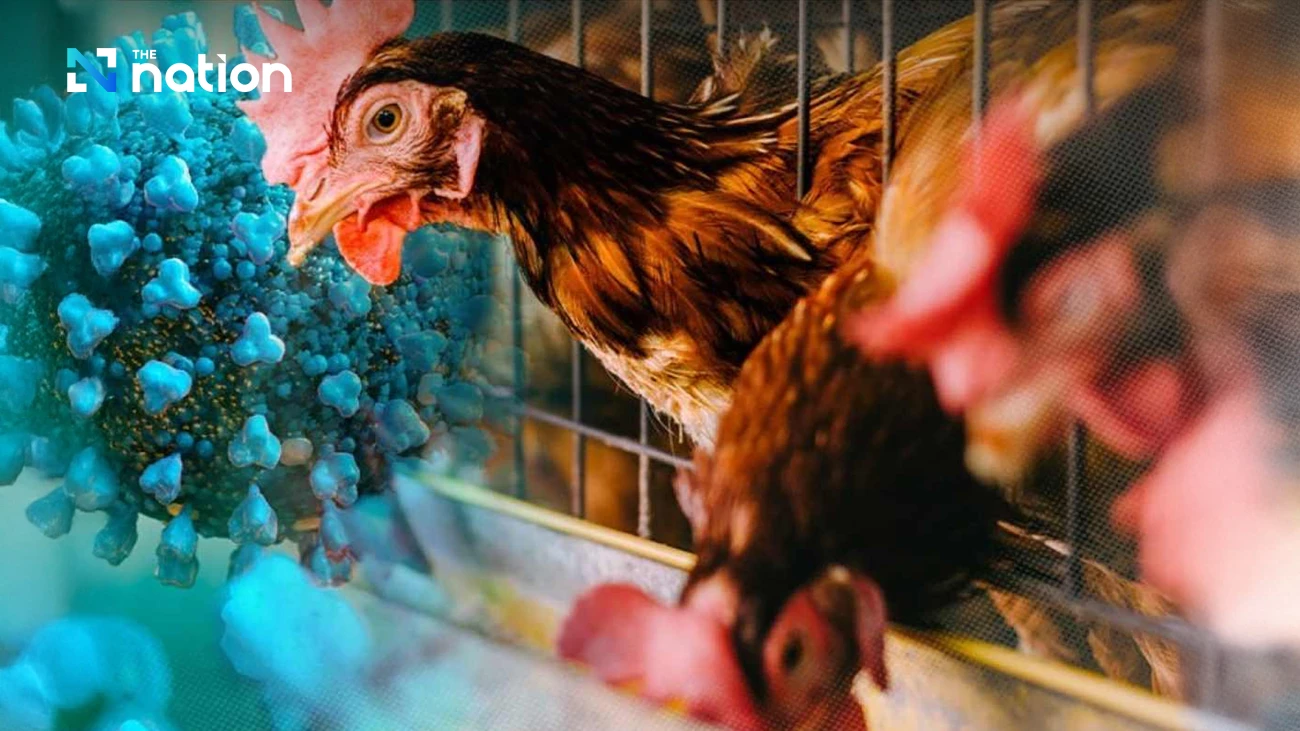 Washington state reports world’s first human H5N5 bird flu death