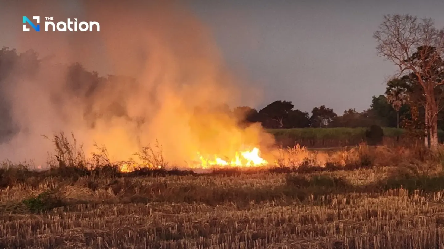 BMA moves forward with 10 stringent measures to tackle wildfires, haze and PM2.5 pollution in 2026